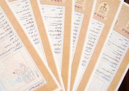 ۸۰درصد اراضی دولتی سنددار شده است