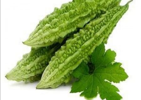 گیاه کارلا برای نخستین بار در خلیل آباد خراسان‌رضوی کشت شد