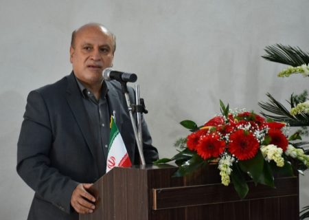 تولید گوشت در کشور به یک میلیون تن در سال می رسد