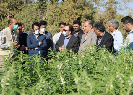 رفع مشکلات حوزه کشاورزی با کمک شرکتهای دانش‌بنیان میسر است
