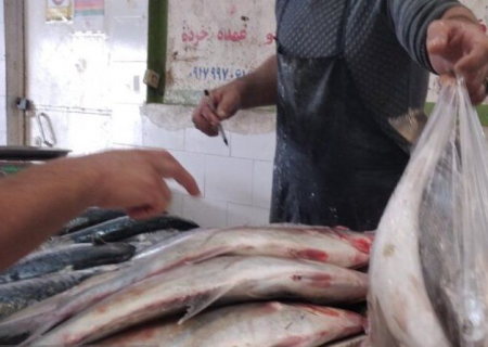 ماهی را از مراکز مجاز و معتبر خرید کنید