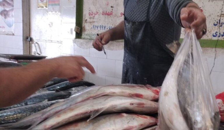 ماهی را از مراکز مجاز و معتبر خرید کنید
