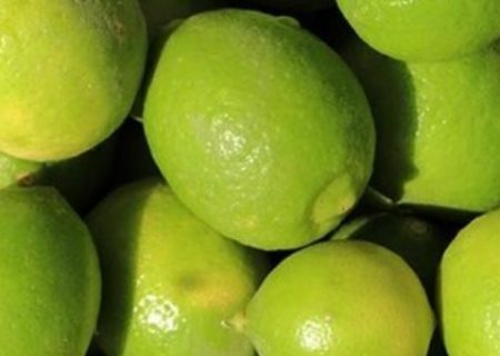 خرید حمایتی ۵ تن لیموترش توسط اتحادیه تعاونی‌های روستایی خراسان رضوی