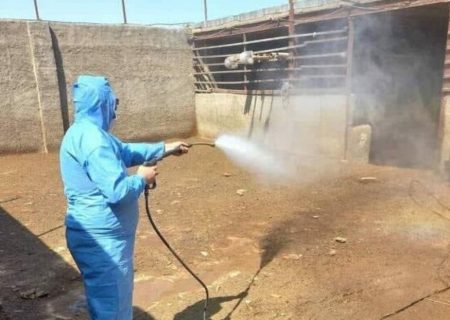 سم پاشی ۷ کانون مشکوک به بیماری تب کریمه کنگو در خراسان رضوی