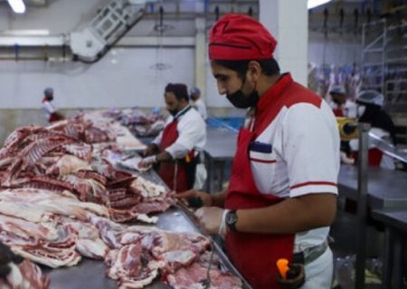 تولید بیش از ۲۳ هزار تن گوشت قرمز در خراسان رضوی طی سال جاری