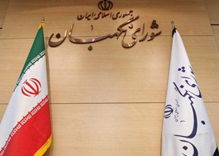 شورای نگهبان عصاره محافظت و مواظبت از انقلاب و اسلام است