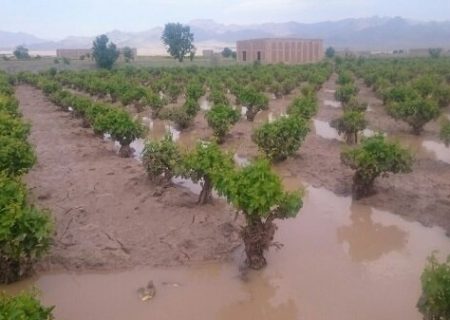 رسیدن به افزایش کمی و کیفی محصولات کشاورزی با نیازسنجی و اجرای اثربخش آموزش