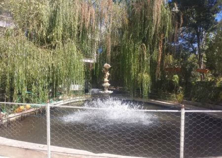 کوهسرخ دارنده تنها مزرعه گردشگری شیلات در خراسان رضوی