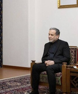 حرم رضوی می‌‎تواند حلقه وصل ایرانیان مقیم خارج با کشور باشد