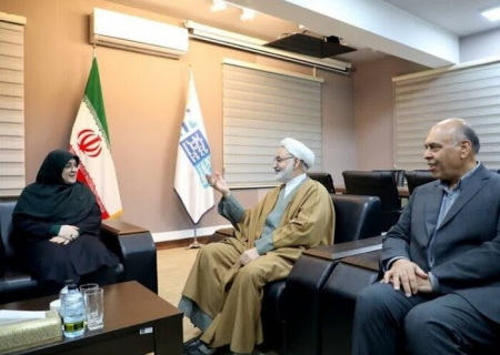 سخنگوی دولت به دیدار مادر شهید رییسی رفت