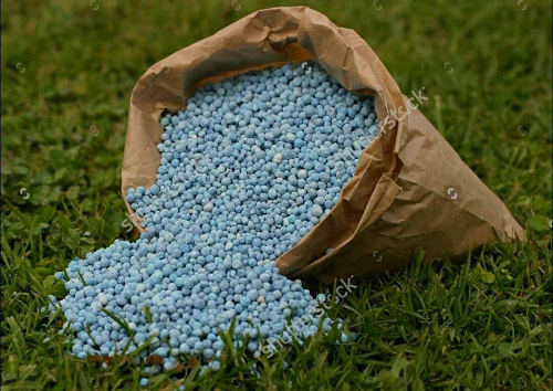 هفت تن کود کشاورزی قاچاق در مشهد شناسایی شد