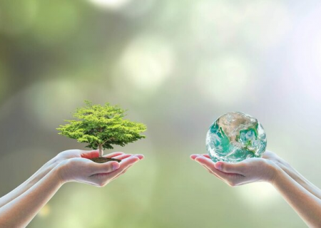 گردشگری الکترونیک و مجازی؛ دو مسیر متفاوت در گردشگری مدرن