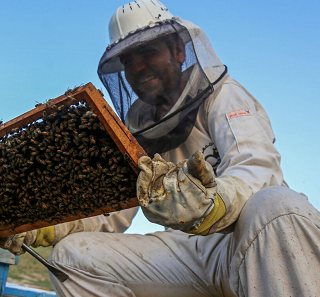 زنبورداران نیشابوری ۸۵۰ میلیارد ریال از فروش عسل درآمد کسب کردند
