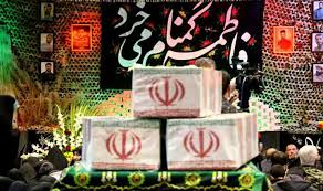 بازگشت پرستوها به خراسان رضوی در ایام فاطمیه