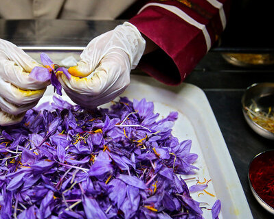 ادامه سیاست رفع تعهدات ارزی جایگاه زعفران ایران را در دنیا خدشه‌دار می‌کند