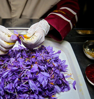 ادامه سیاست رفع تعهدات ارزی جایگاه زعفران ایران را در دنیا خدشه‌دار می‌کند
