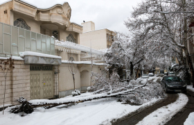 جمع‌آوری حدود ۲۰ اصله درخت شکسته در پی طوفان برف شب گذشته مشهد