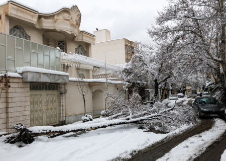 جمع‌آوری حدود ۲۰ اصله درخت شکسته در پی طوفان برف شب گذشته مشهد
