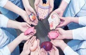 اعضای ۱۴۳ بیمار مرگ مغزی در شمال شرق کشور به بیماران نیازمند اهدا شد