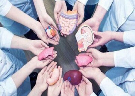 اعضای ۱۴۳ بیمار مرگ مغزی در شمال شرق کشور به بیماران نیازمند اهدا شد