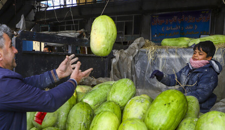 افزایش ۲۰ درصدی قیمت صیفی‌جات و میوه‌های پاییزی در مشهد
