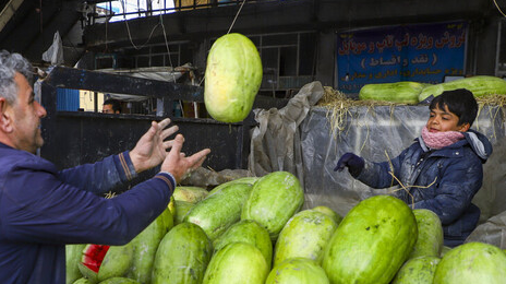 افزایش ۲۰ درصدی قیمت صیفی‌جات و میوه‌های پاییزی در مشهد