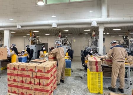 افزایش ۳۸ درصد اشتغال در گناباد