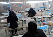 بنیاد برکت ۲۶۰ میلیارد ریال تسهیلات اشتغالزایی در تایباد پرداخت کرد