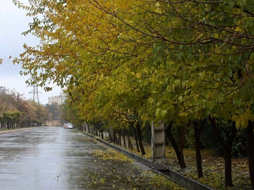 هوای خراسان رضوی سردتر می‌شود