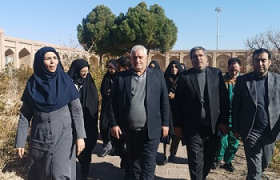 ۳۰ درصد اعتبارات اشتغال امسال خراسان رضوی به حوزه بانوان اختصاص دارد