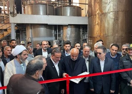 تفویض اختیار به استان‌هااصل مهم تحقق رونق اقتصادی است