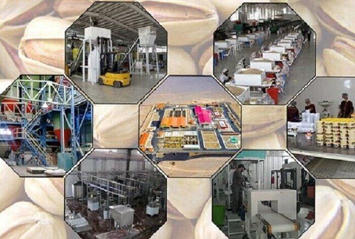 بخش اقتصادی در شرایط جنگی باید حمایت شوند