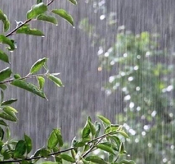 بارش‌های رگباری در خراسان رضوی ادامه دارد