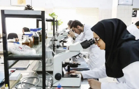 پژوهشگران مشهدی موفق به تولید پودر استخوانی پیشرفته برای کاربردهای پزشکی شدند