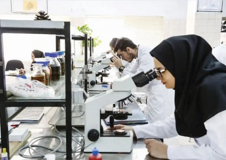 پژوهشگران مشهدی موفق به تولید پودر استخوانی پیشرفته برای کاربردهای پزشکی شدند