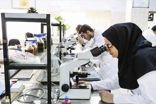 پژوهشگران مشهدی موفق به تولید پودر استخوانی پیشرفته برای کاربردهای پزشکی شدند